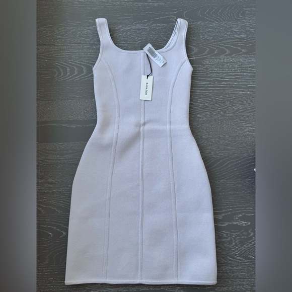 Aritzia Babaton Sculp knit dress - Picture 1 of 2